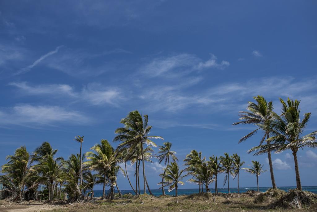 Villa Sarie Bay San Andrés Exteriér fotografie